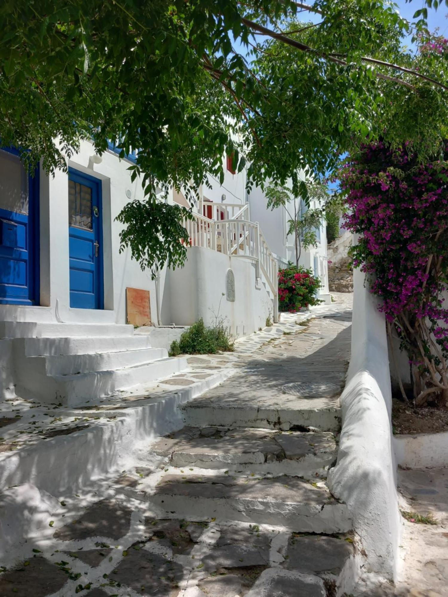 Alex Oldtown Sea View Rooms And Appartments Mykonos Town 部屋 写真