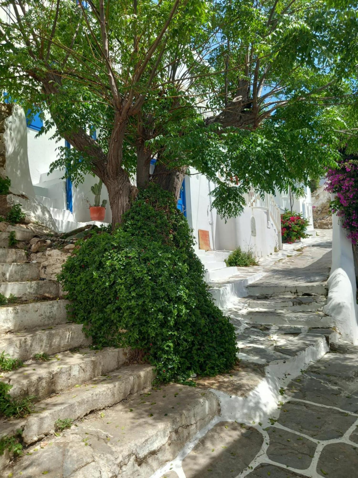 Alex Oldtown Sea View Rooms And Appartments Mykonos Town エクステリア 写真